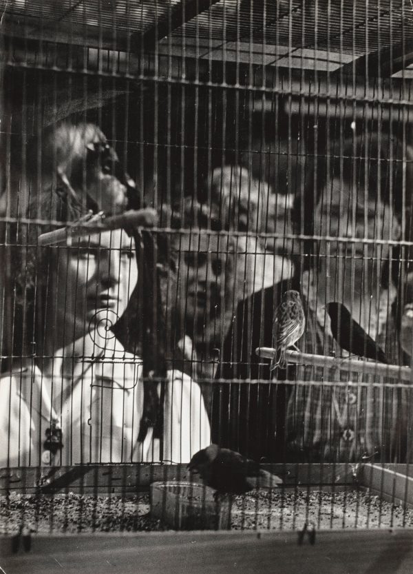 Marché aux oiseaux, quai de la Mégisserie, Paris, 1948. © Association des amis d’Ergy Landau